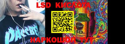 шишки Донской