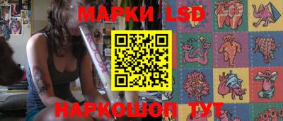 шишки Донской