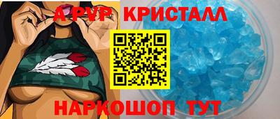 шишки Донской