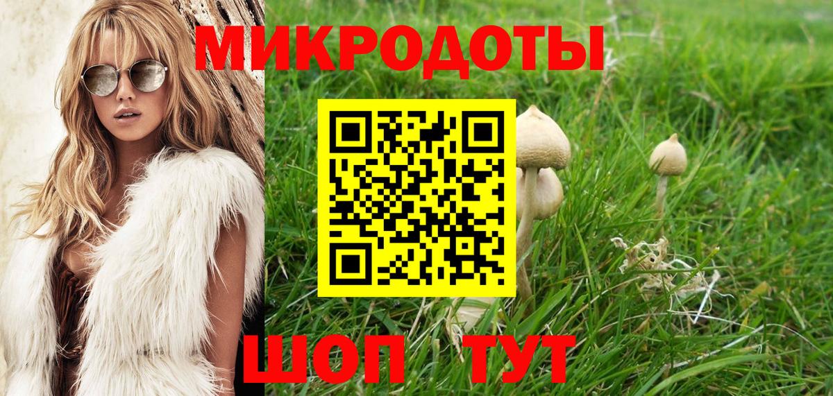 Псилоцибиновые грибы мицелий Мирный
